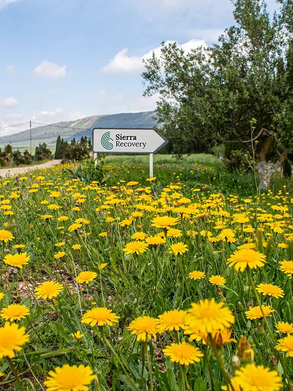 The Sierra Recovery sign in a field of wildflowers