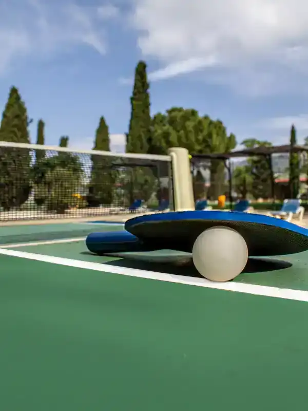 The sports court in the grounds