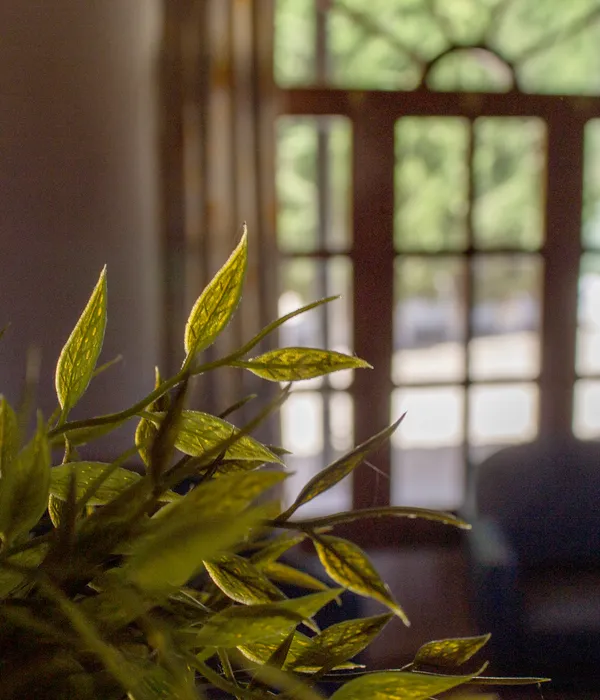 Light through the windows of the house at Sierra Recovery