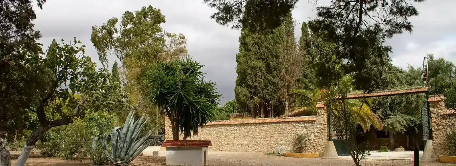 The cortijo at Sierra Recovery, framed by trees