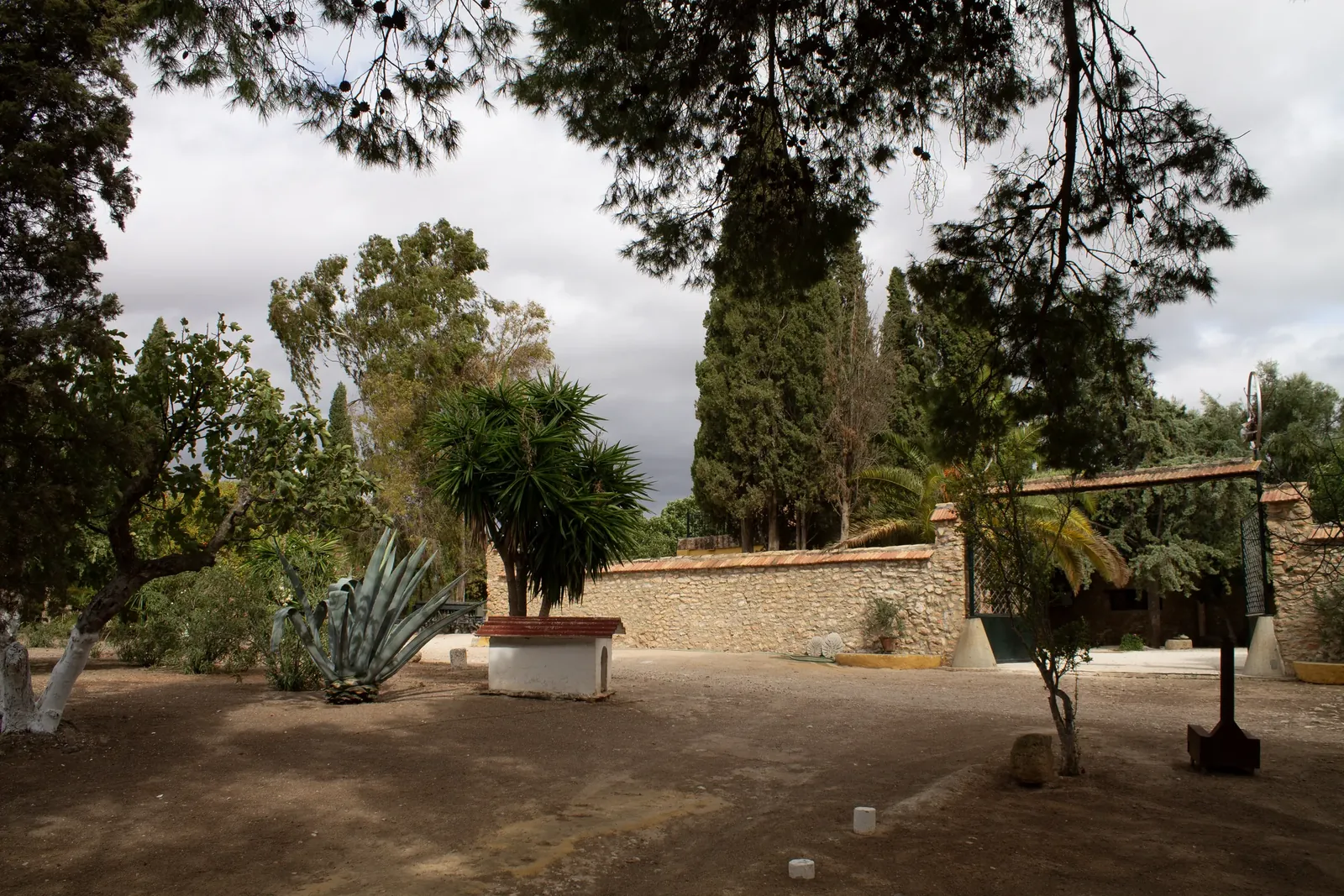 The courtyard and cypress trees at Sierra Recovery
