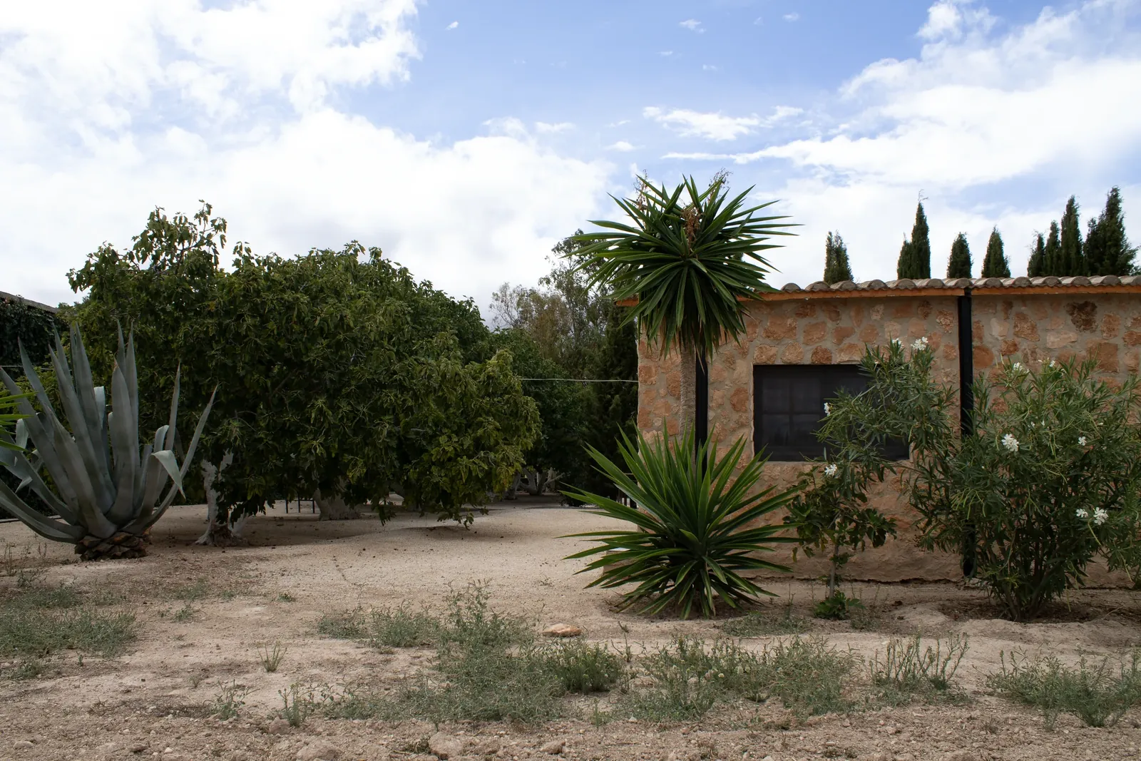 The gardens at Sierra Recovery, near Humilladero in Malaga province