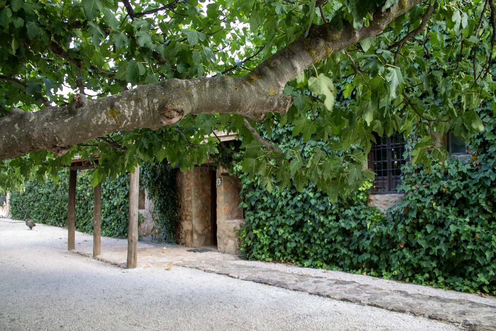 The pergola where groups sit outside in warmer weather