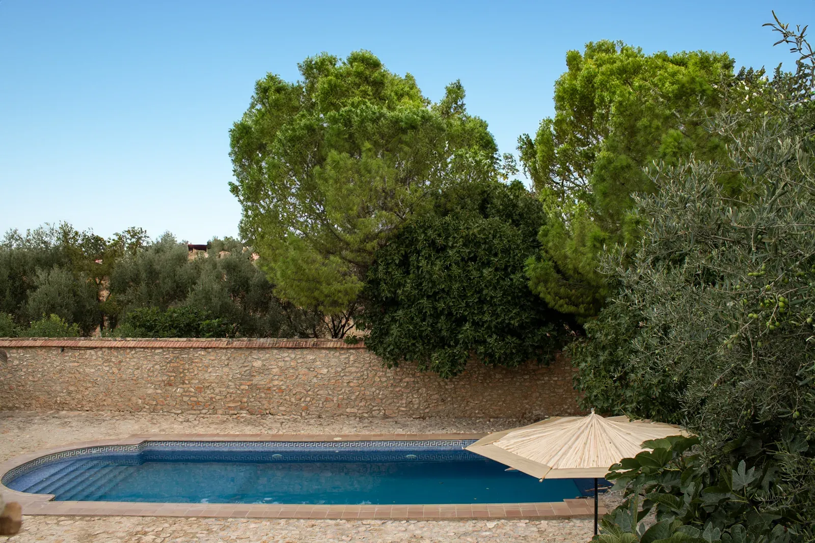 The outdoor pool at Sierra Recovery, with parasols and trees behind
