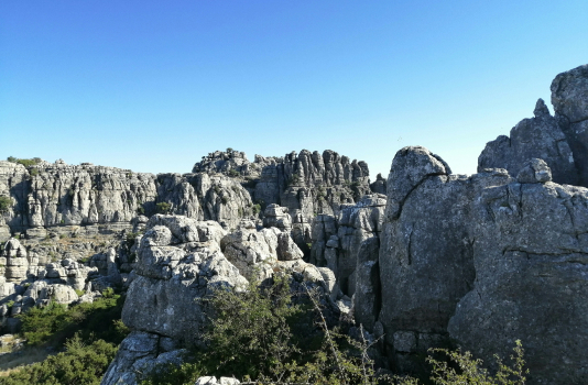 mountain view