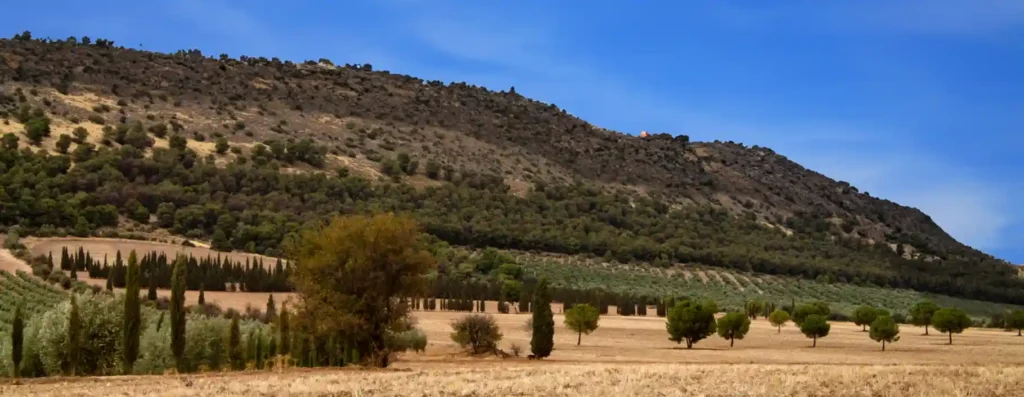 mountain