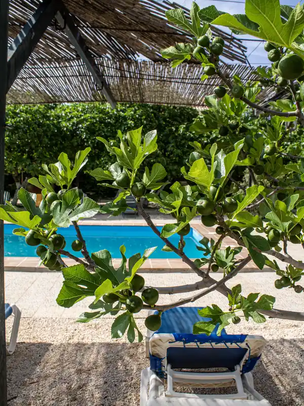 rehab-pool