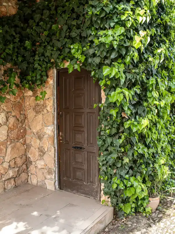 rehab-door