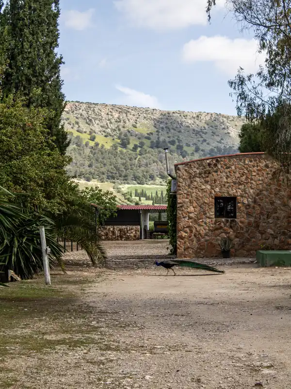 rehab-entrance