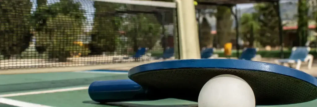 ping-pong