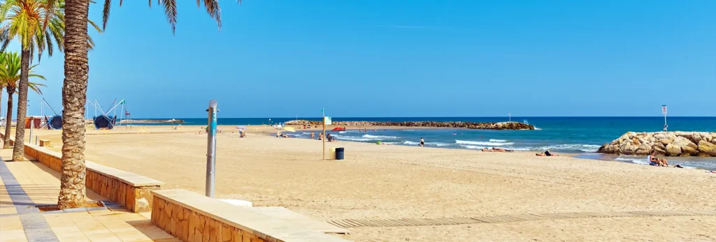 sierra-recovery-beach