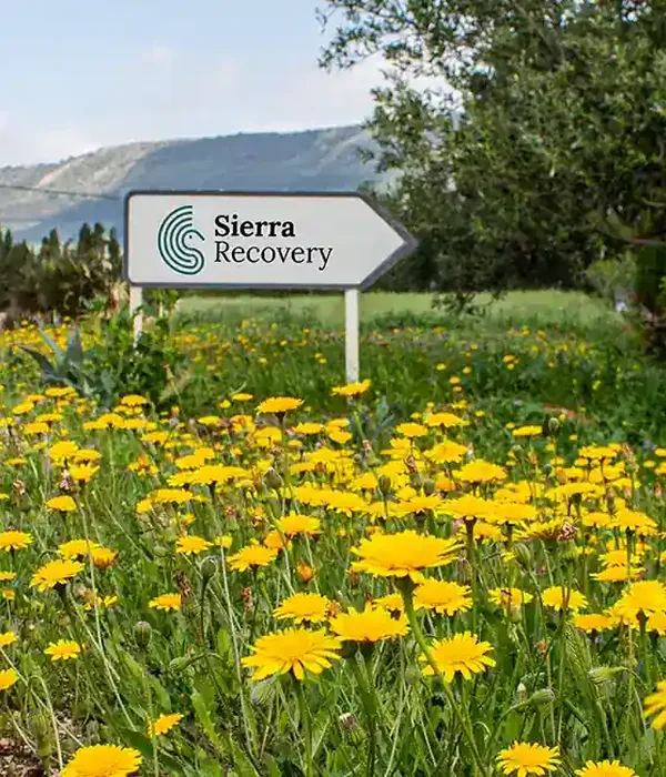 sierra recovery field yellow flowers sign background
