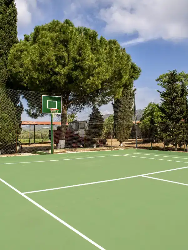 sierra recovery tennis court green trees