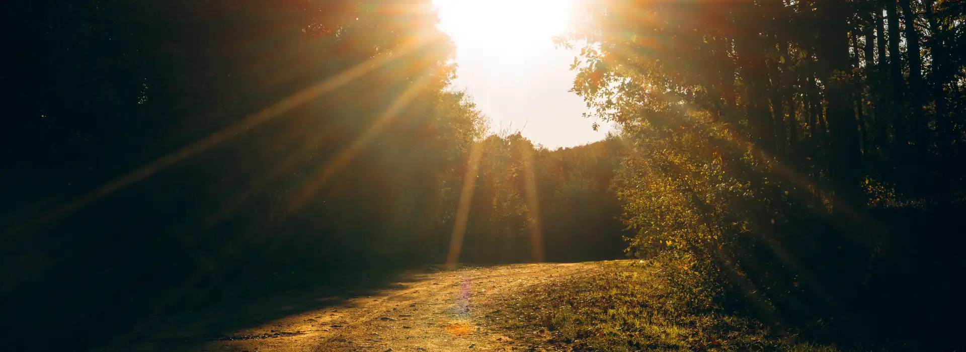 First Steps to Recovery: What to Expe...
